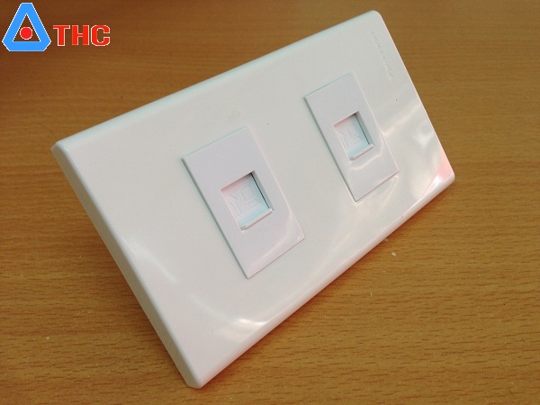 Nhân Wallplate 2 Cổng RJ45